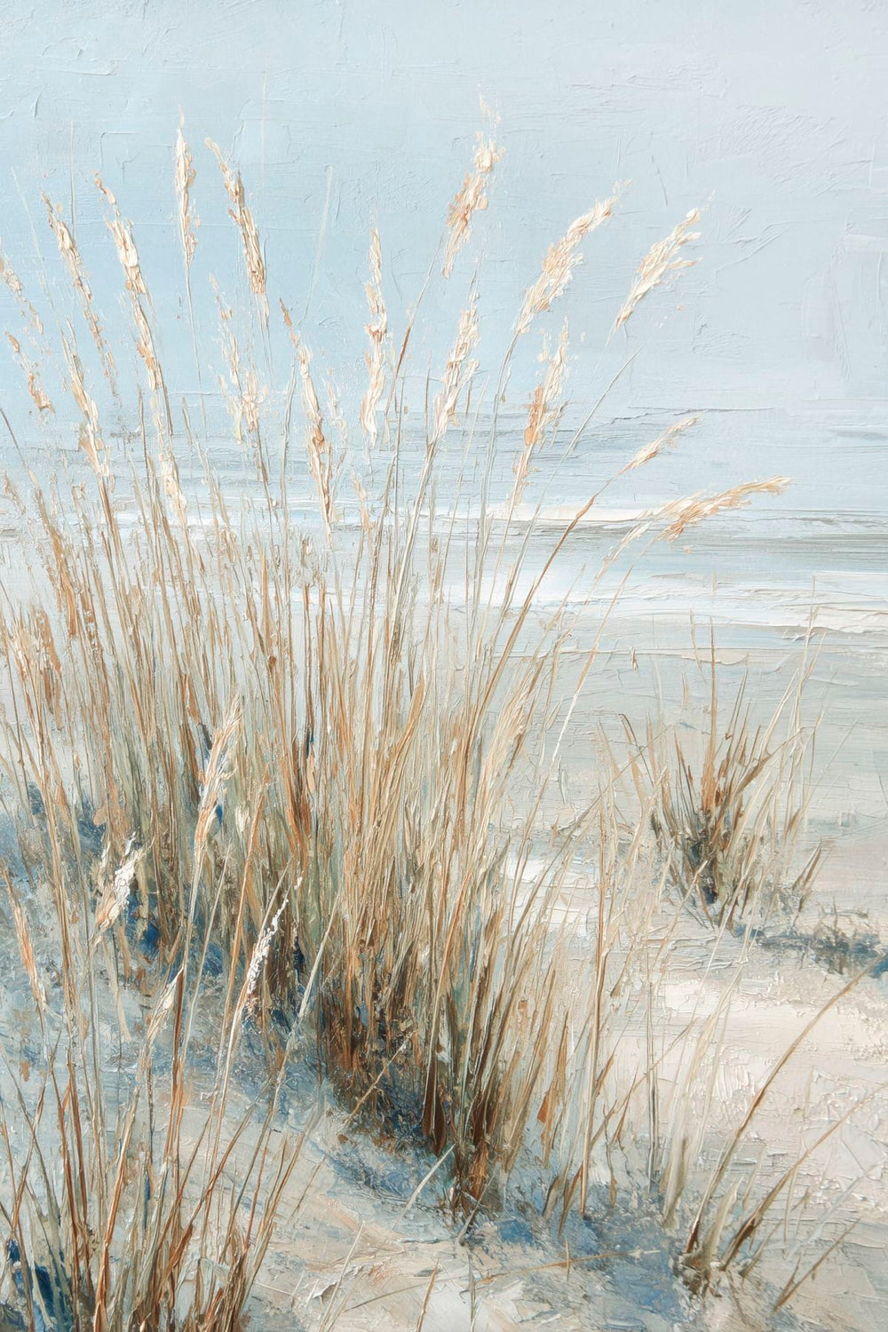 Coastal Dune Grass