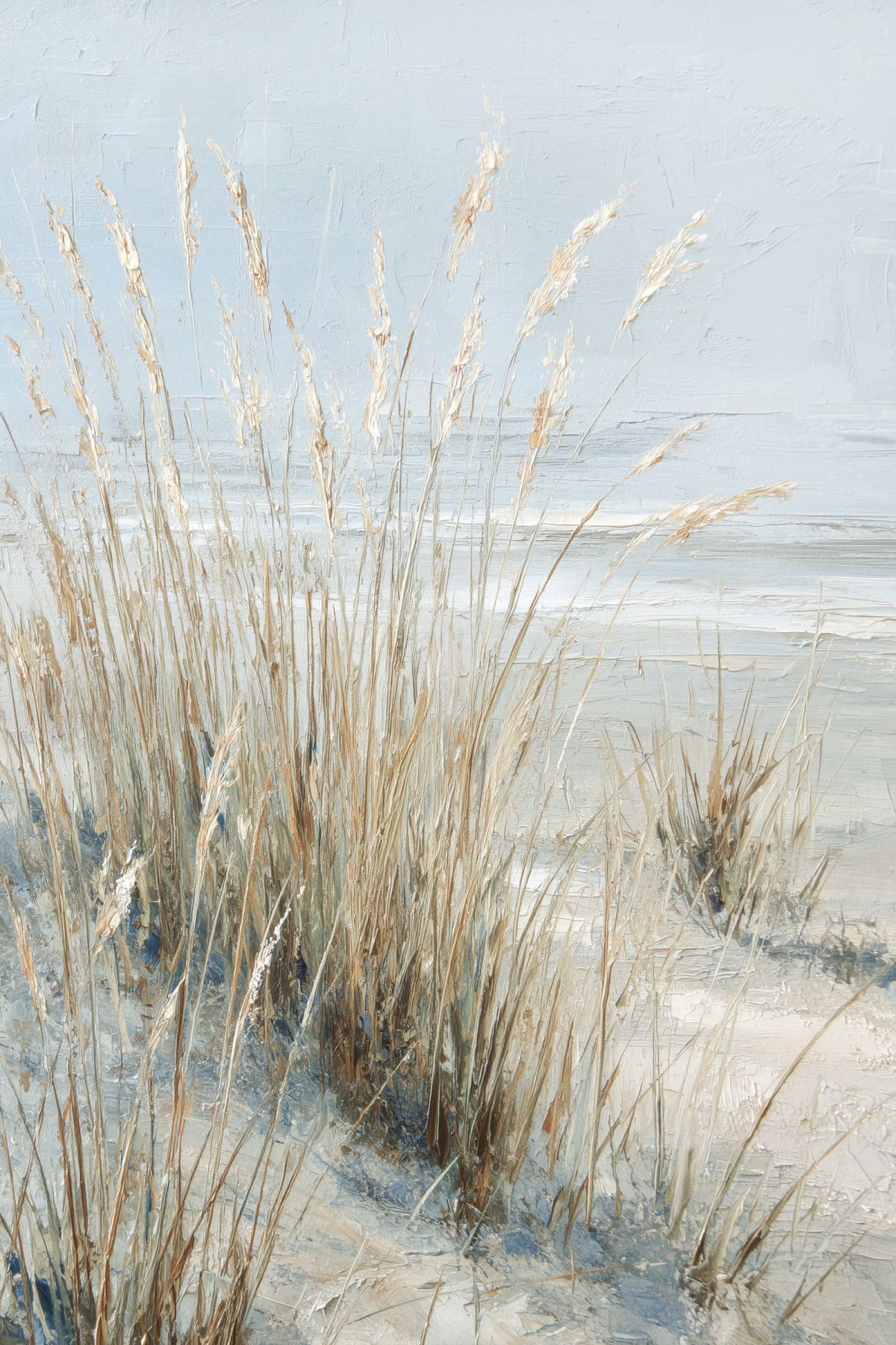 Coastal Dune Grass