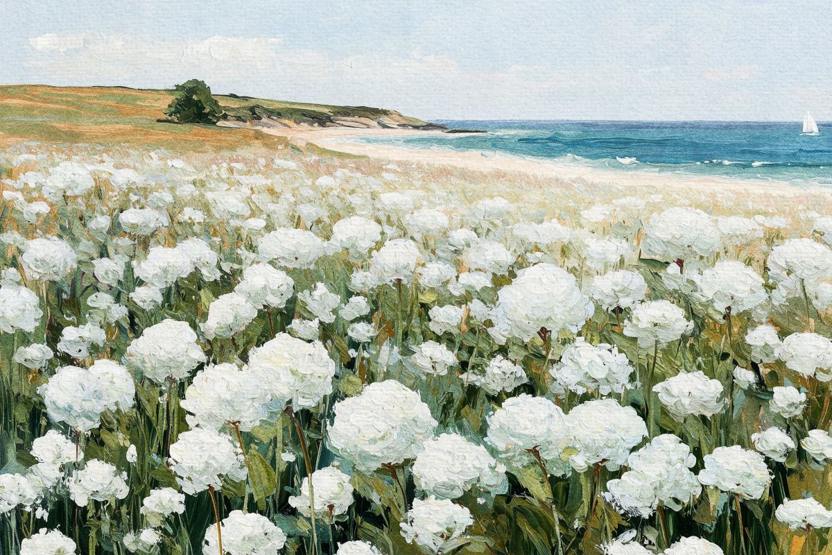 White Hydrangeas by the Coastal Shore