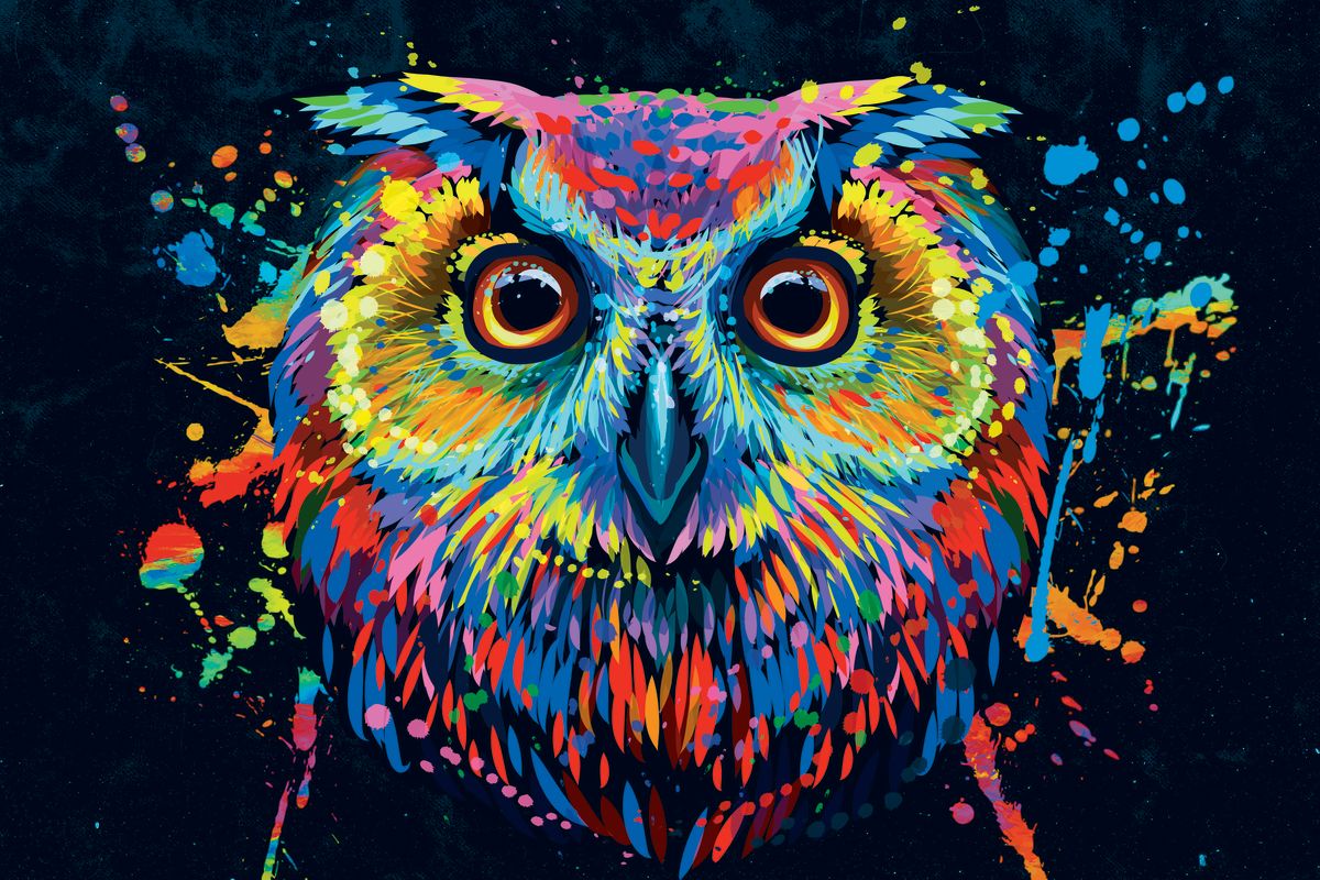 Color Splashed Owl