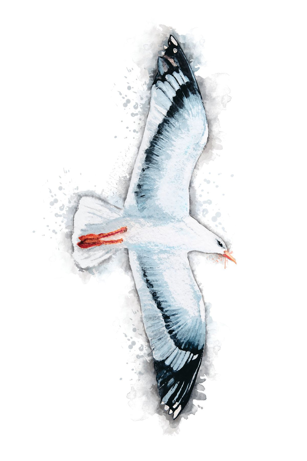 Flying White Seagull Splash