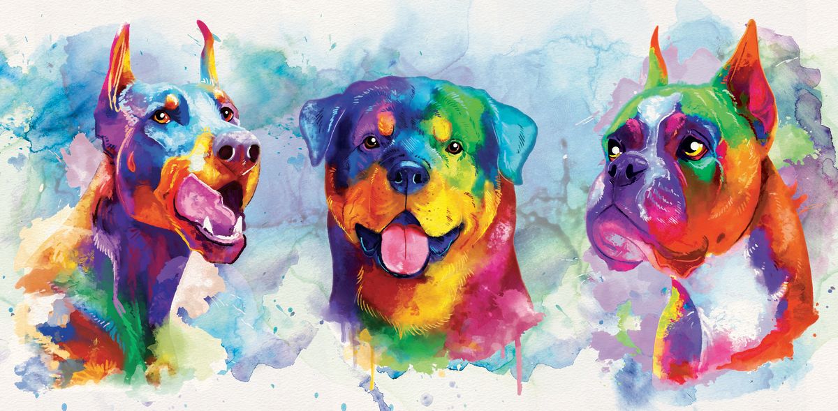 Dogs Paint Splash