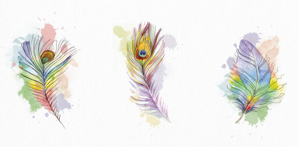 Rainbow Peacock Feathers Trio