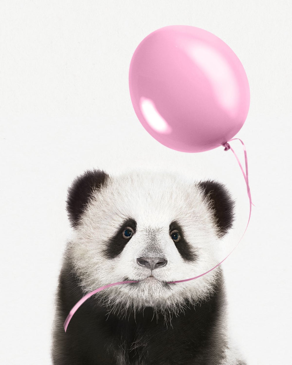 Panda And Pink Balloon