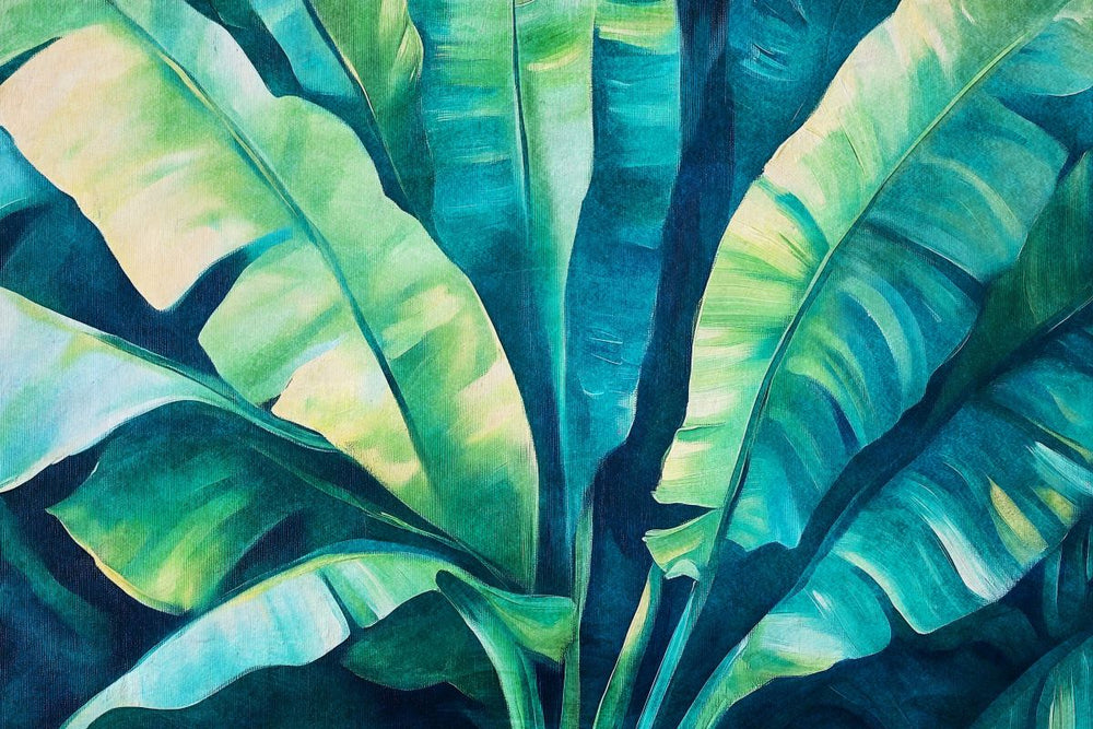 Large Banana Leaves