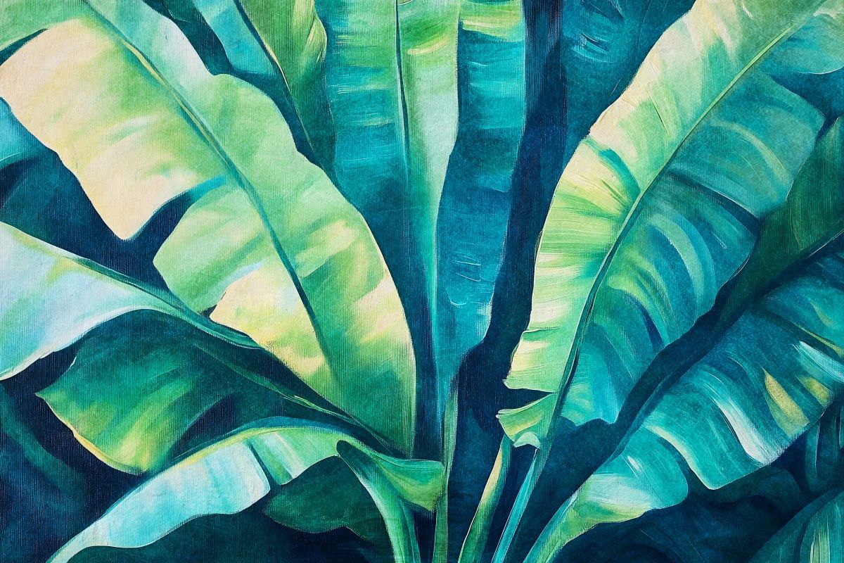 Large Banana Leaves