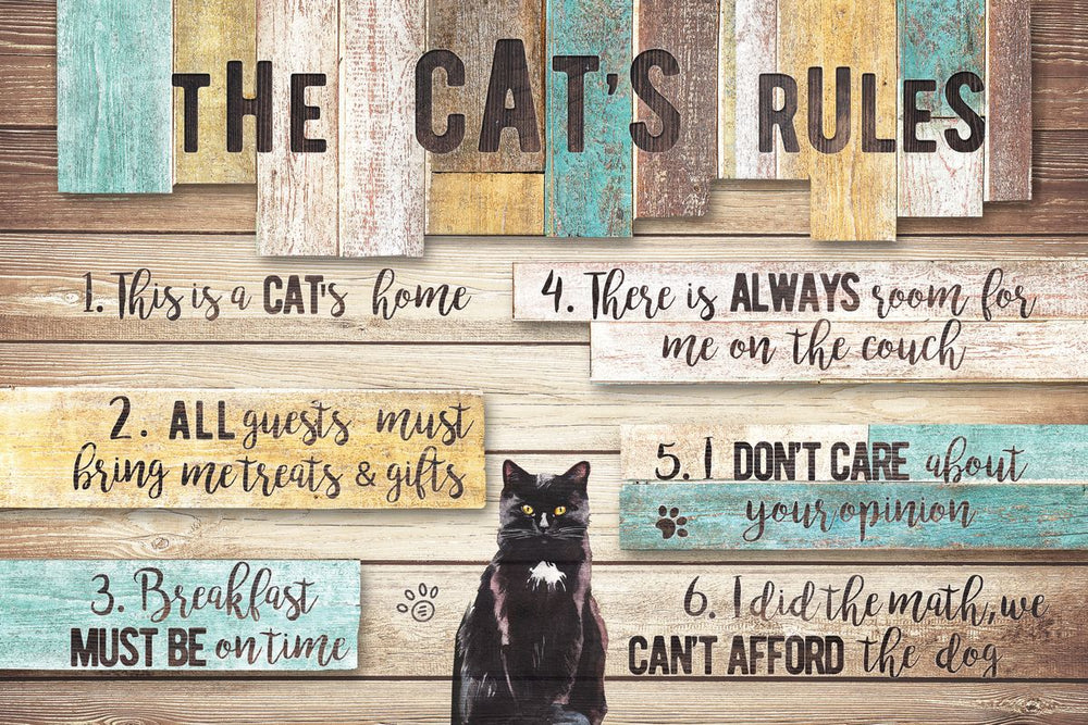 The Cat's Rules