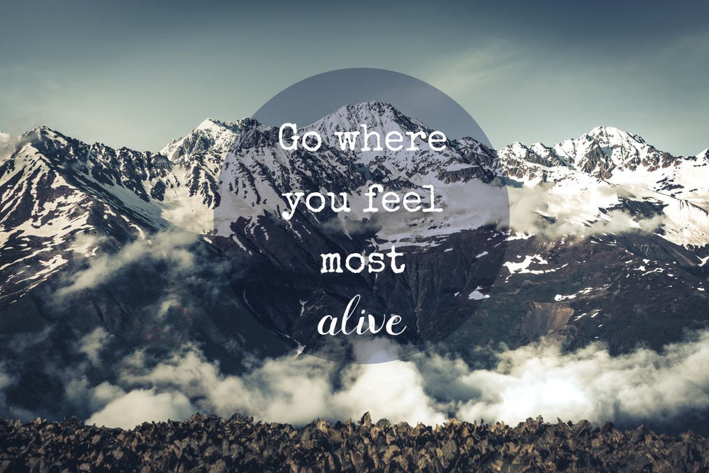 Most Alive Motivational Quote