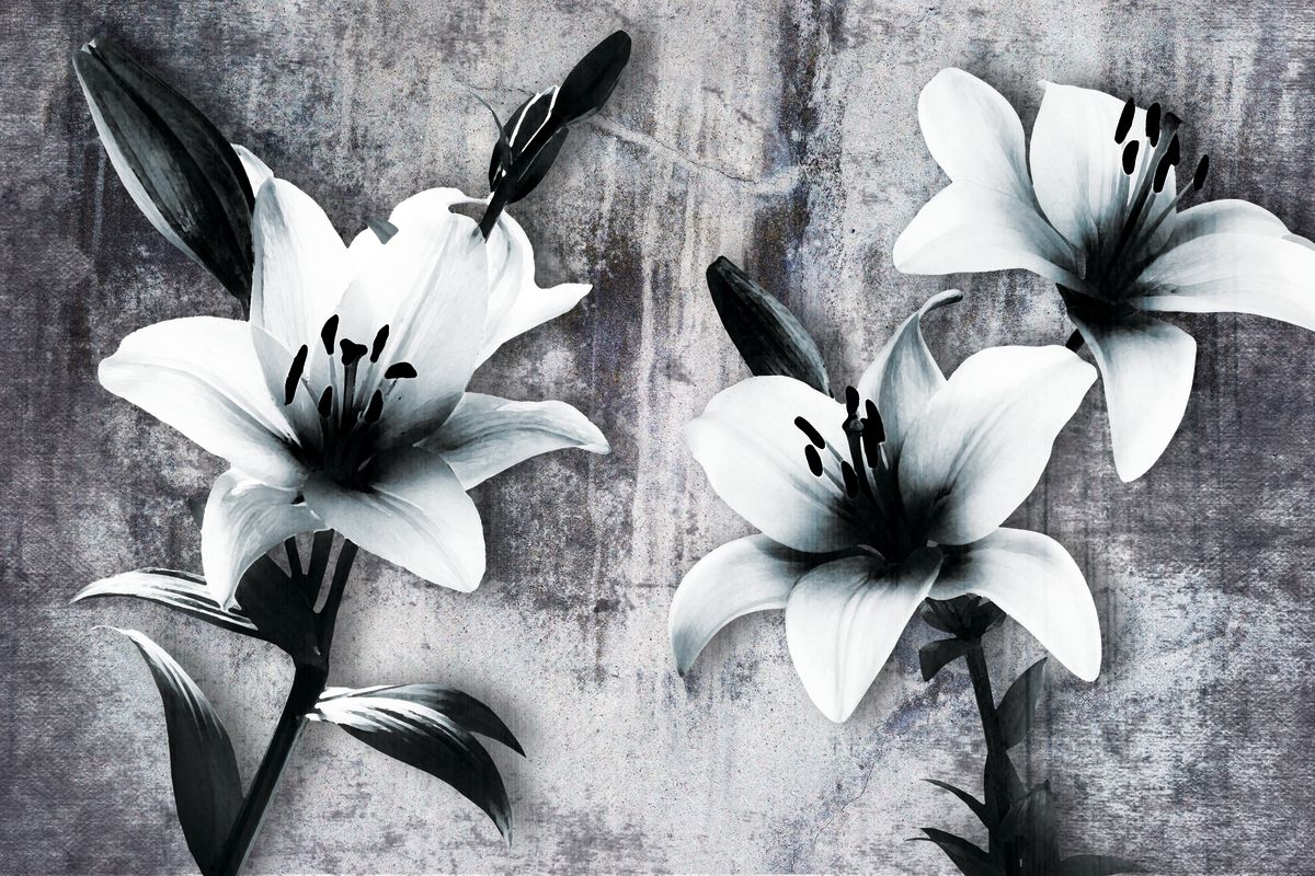 Lily Flower BW