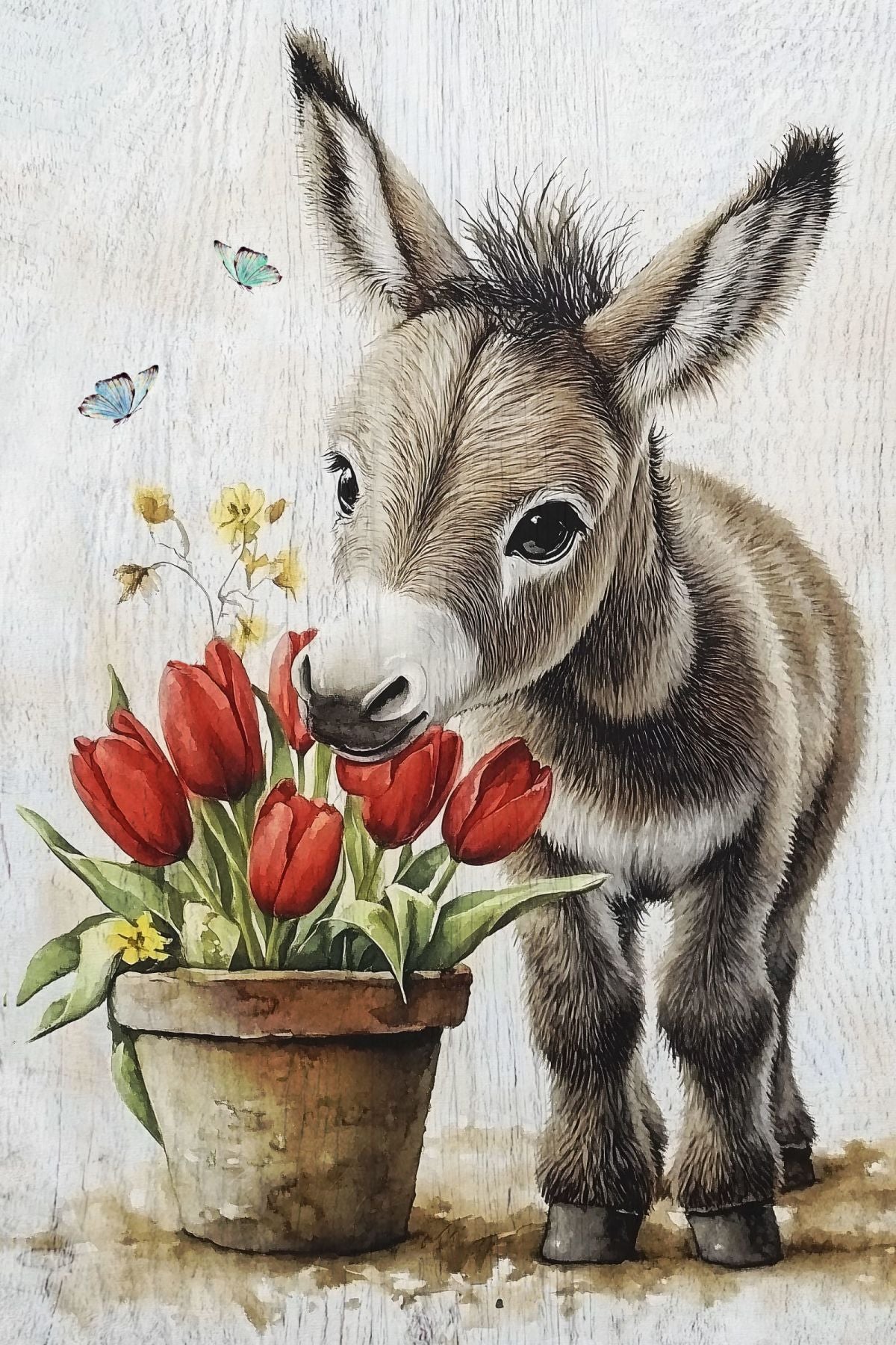 Donkey Loves Spring