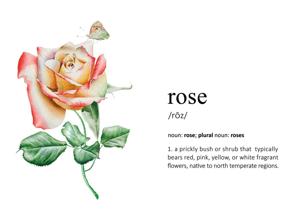 Rose Definition