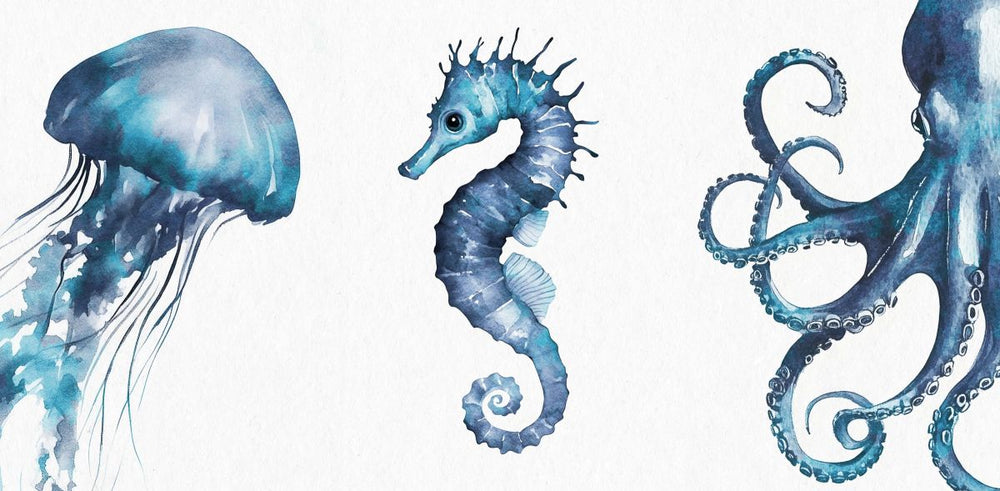 Marine Life Trio Wall Art