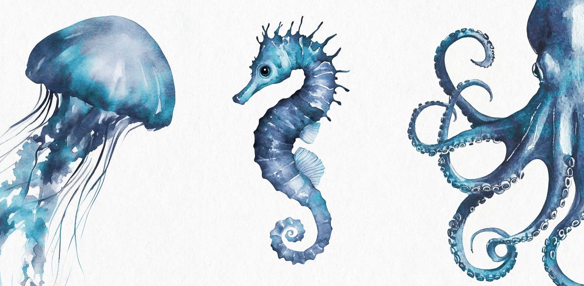 Marine Life Trio Wall Art