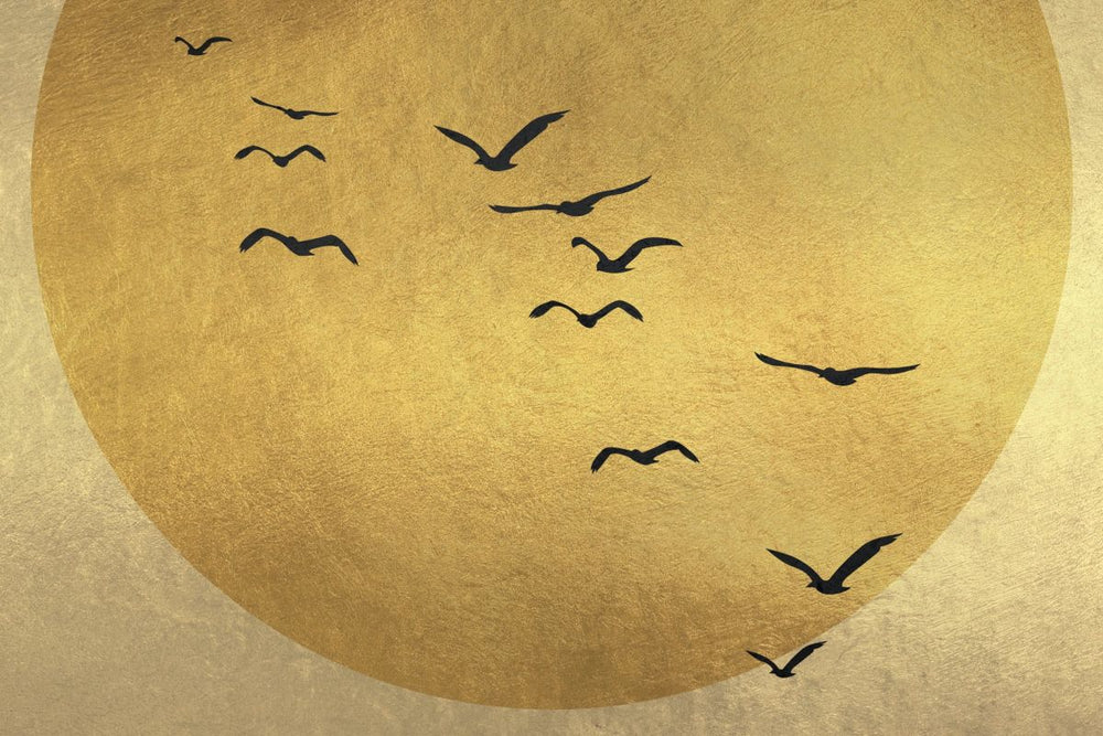 Sun Embraces The Flock