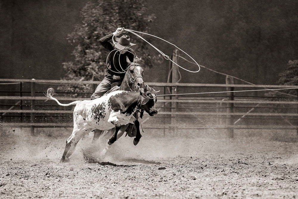Calf Roping Action