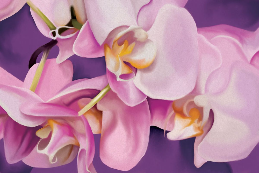 Ravishing Orchids