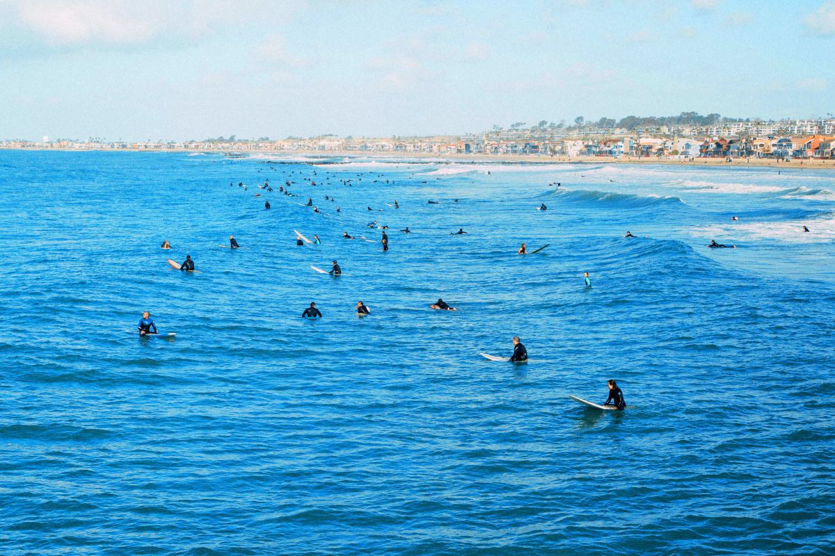 Wave Surfers