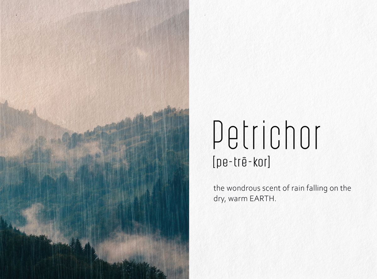 Petrichor Definition