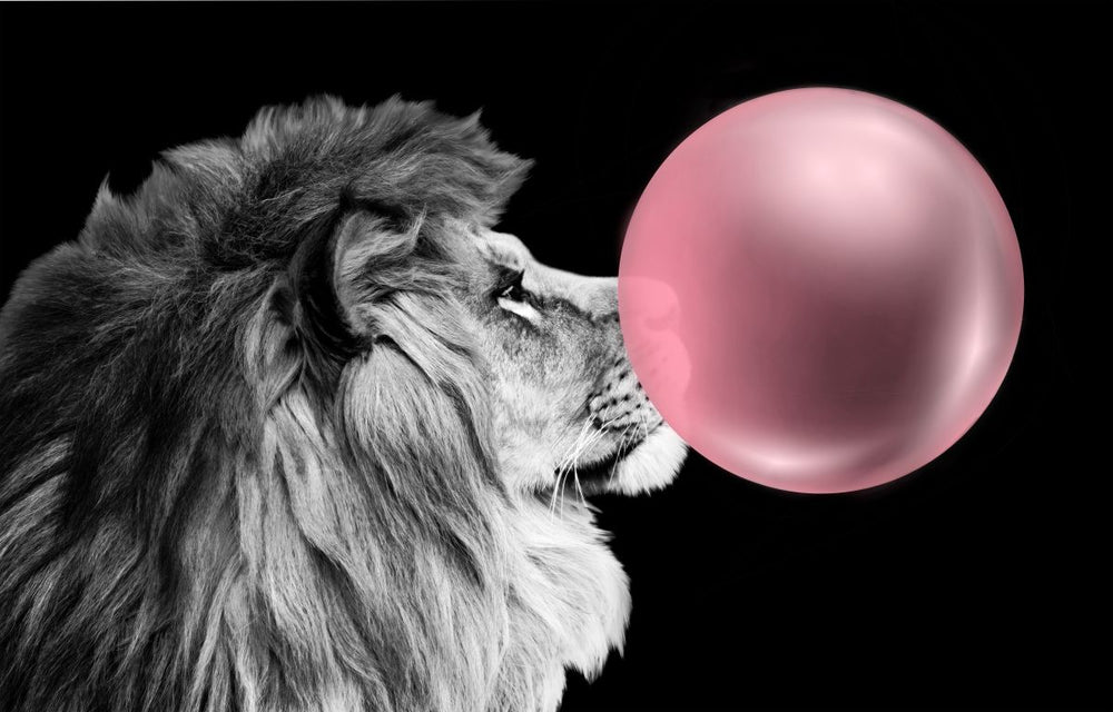Funny Lion Bubble Gum