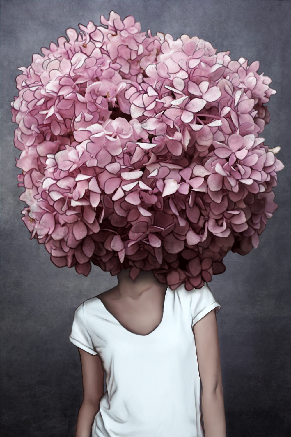 Hydrangea Head