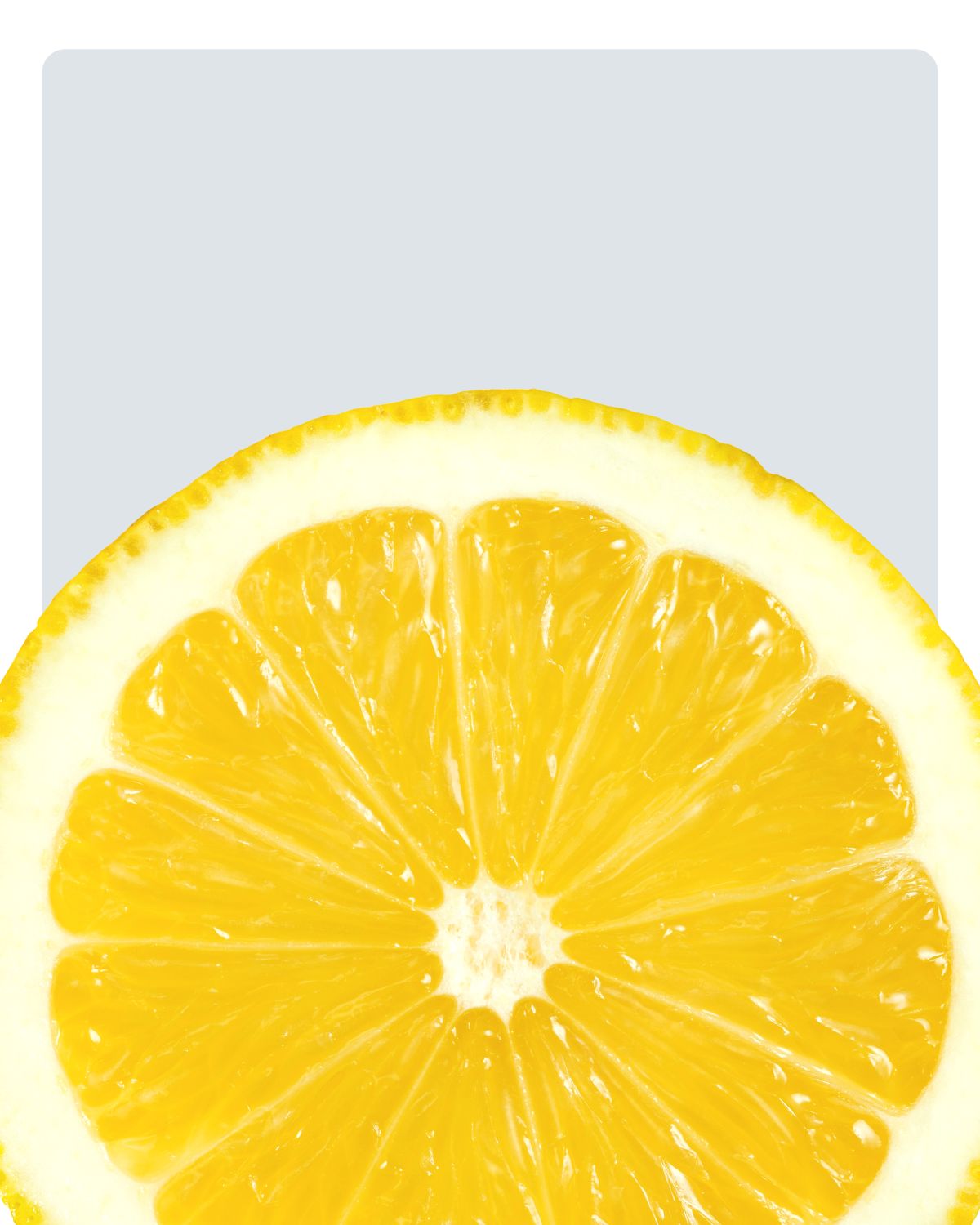 Lemon Slice Close Up