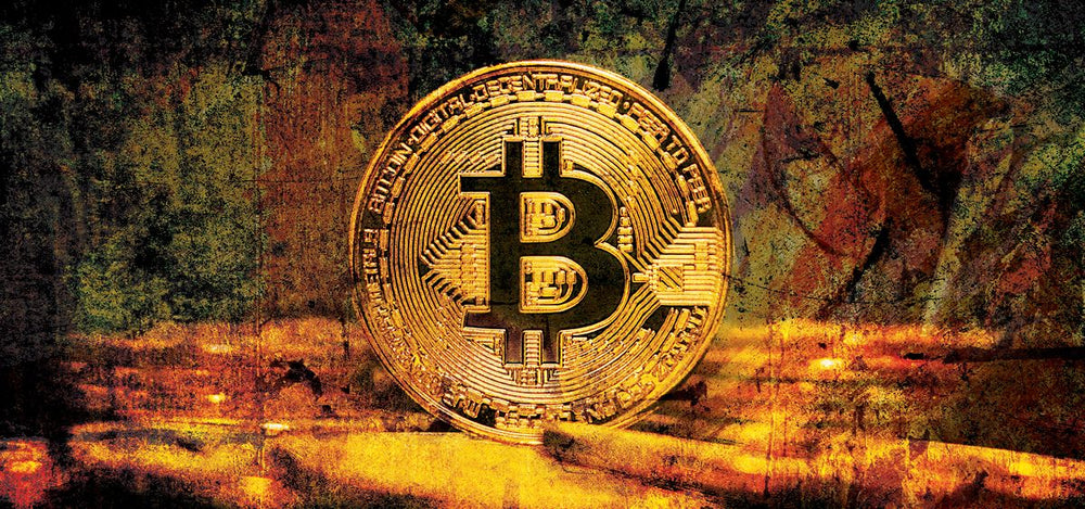 Bitcoin Logo XIV