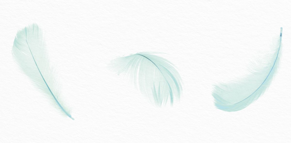 Soft Mint Feathers