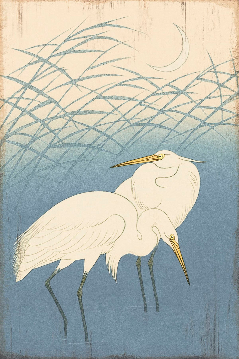 Birds In Shallow Water
