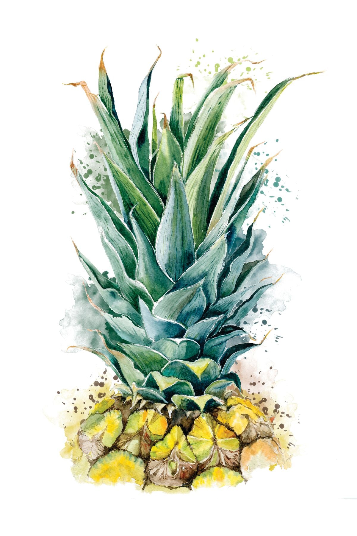 Pineapple Crown Splash